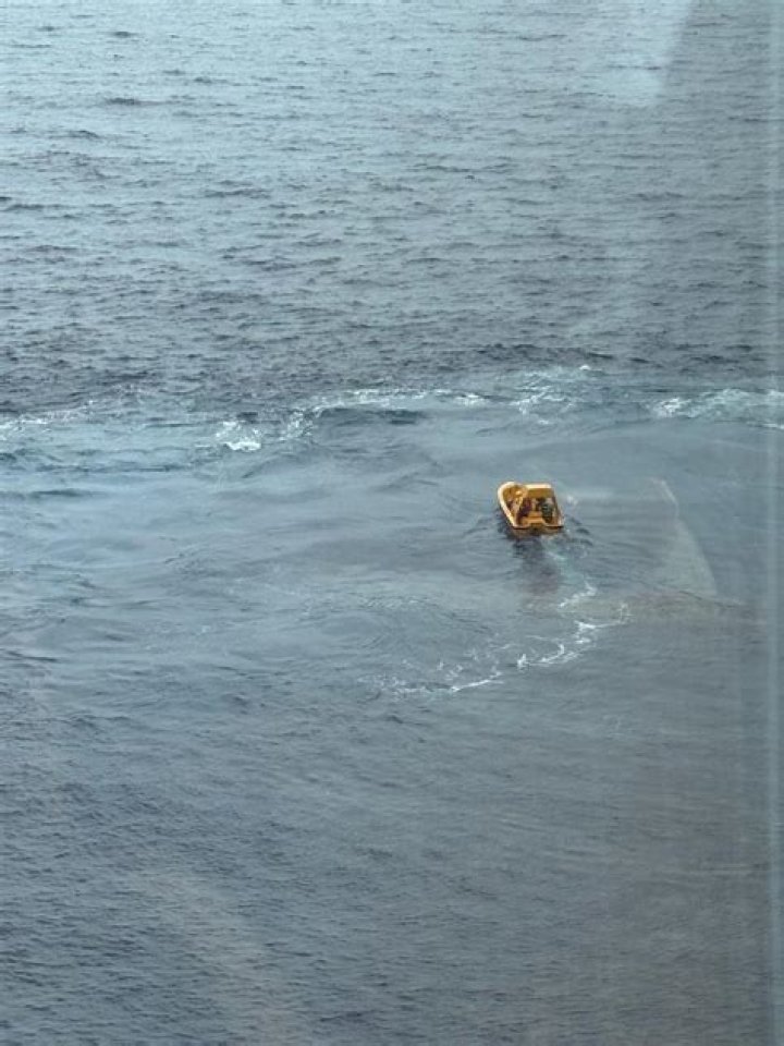 Woman reportedly JUMPED overboard from Carnival cruise ship.... Page